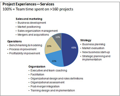 Beh Consulting Services Breakdown